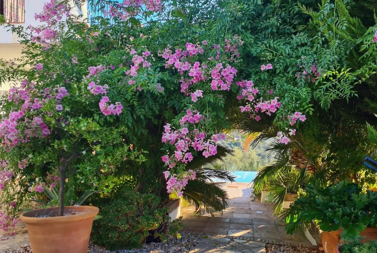 Bed and Breakfast Cortijo La Haza Iznájar Nocleg ze śniadaniem
